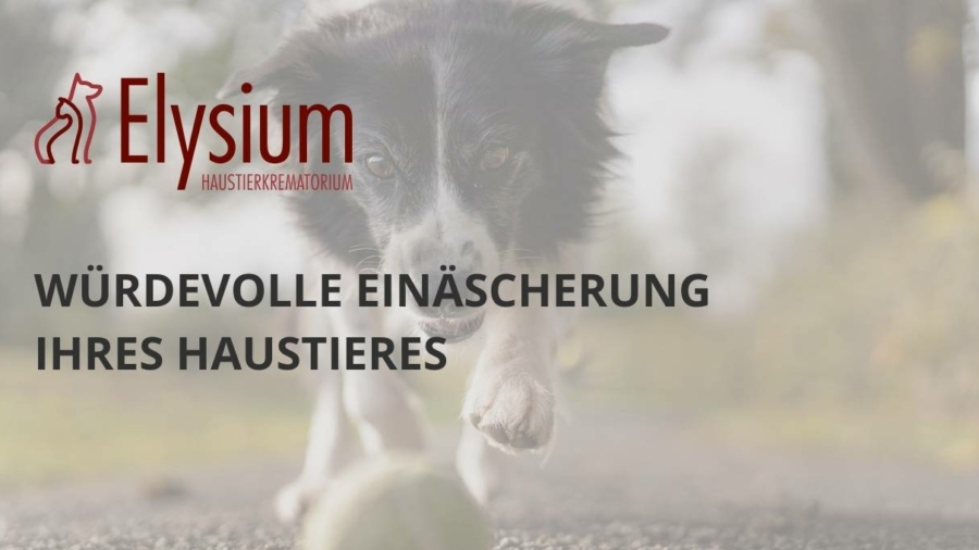 Elysium Haustierkrematorium GmbH Hohenwestedt