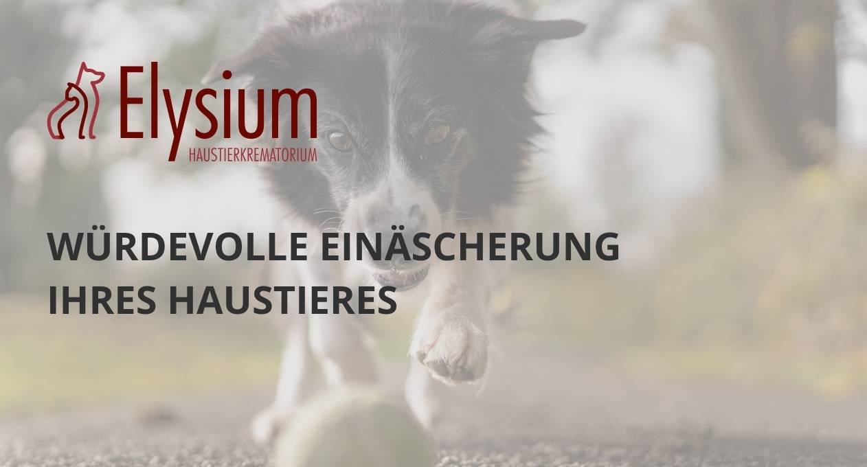 Elysium Haustierkrematorium GmbH Hohenwestedt