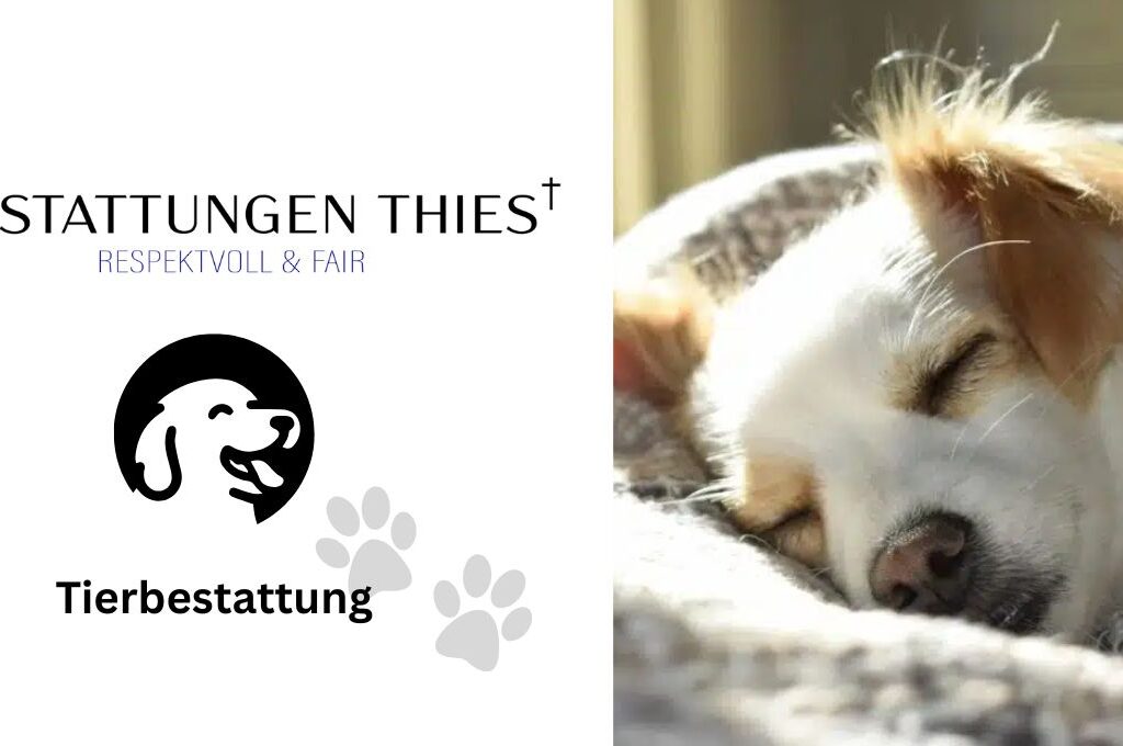 Bestattungen Thies Tierbestattung Hamburg